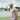 Capri Polo - Perfect Peach